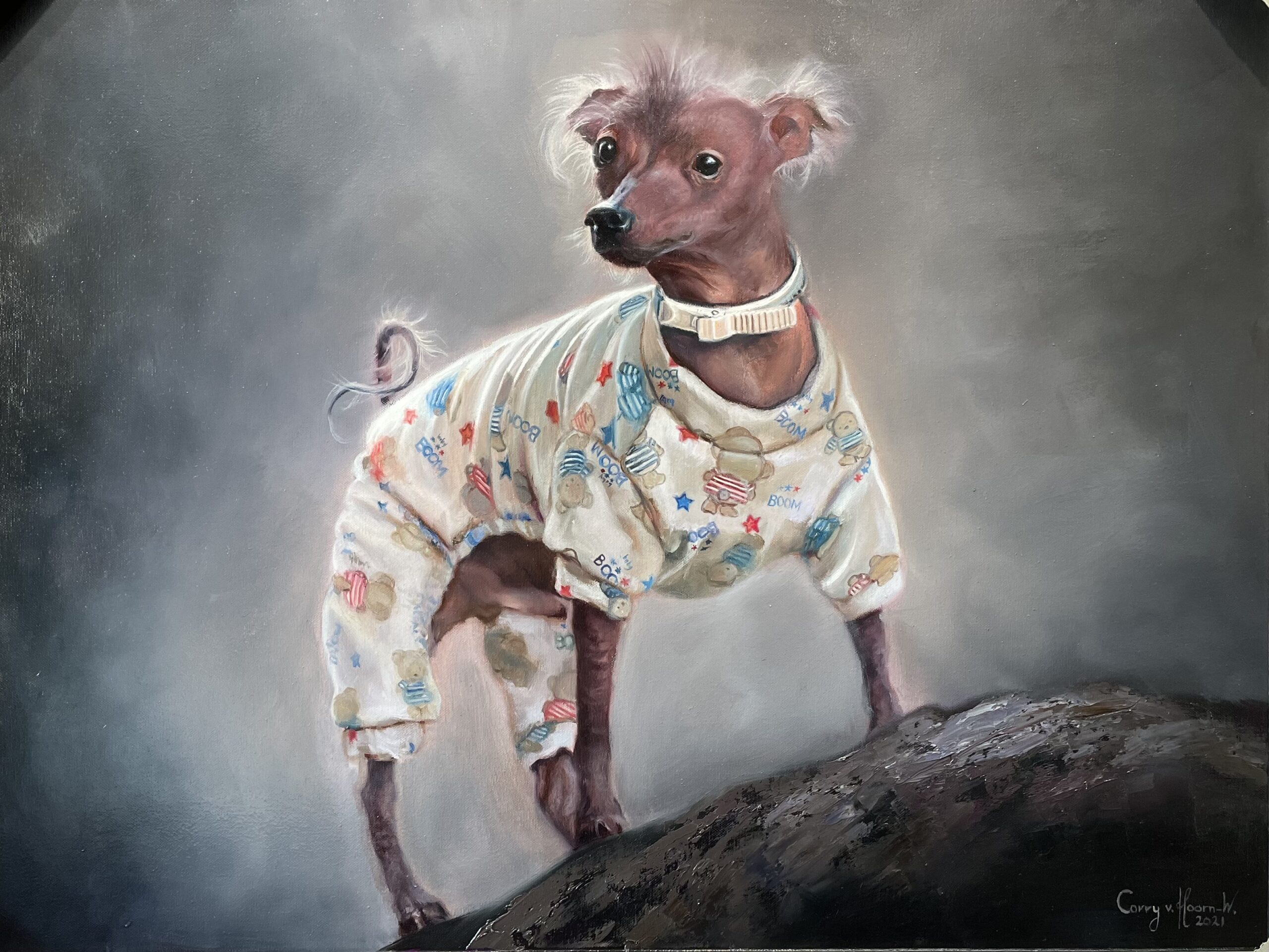 hond in kleding Corry van Hoorn