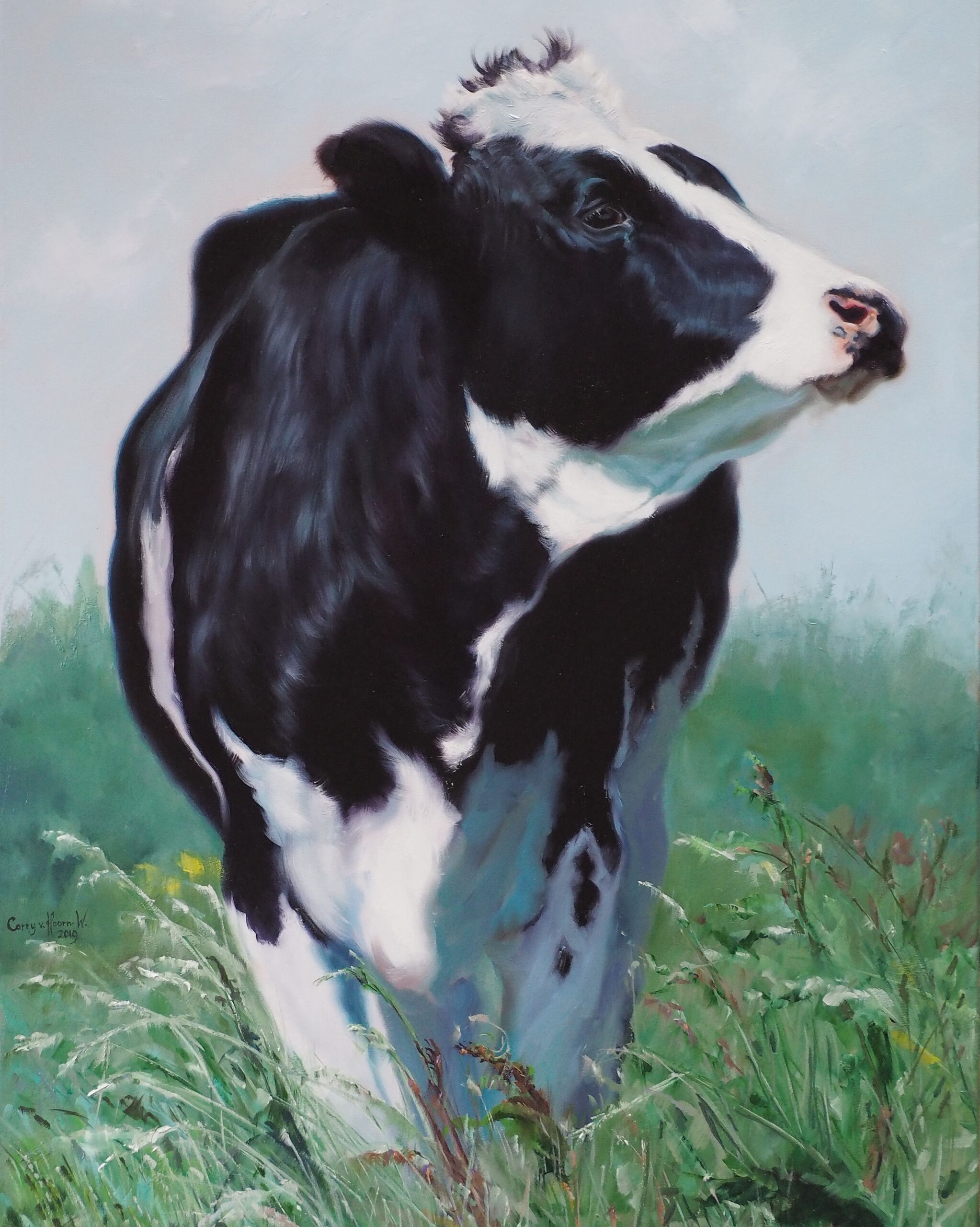 koe portret corry van hoorn