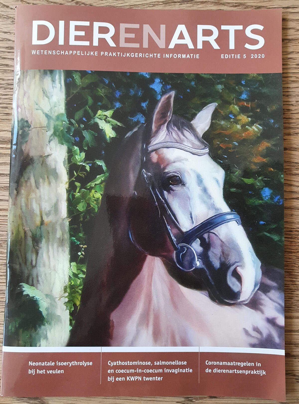 schilderij cover vakblad DIER-EN-ARTS